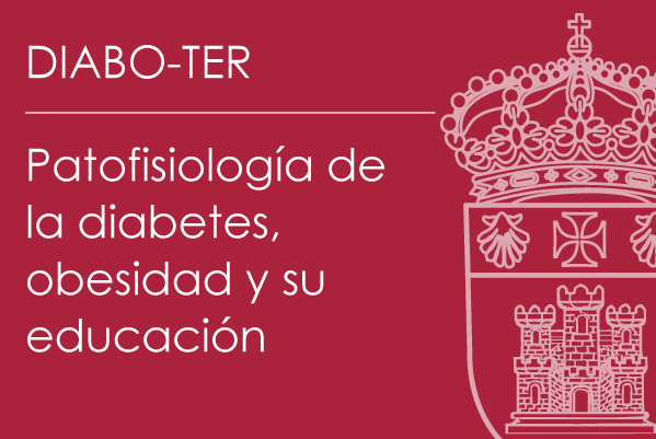 Foto de Patofisiología de la diabetes, obesidad y su educación terapéutica